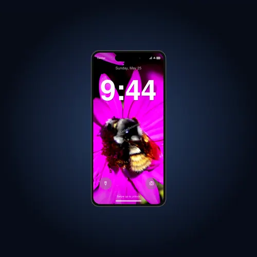 Bumblebee on pink daisy live wallpaper
