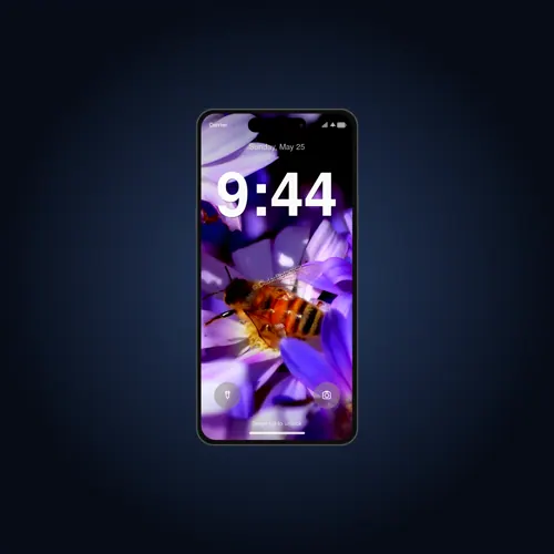 Honeybee on purple daisies live wallpaper